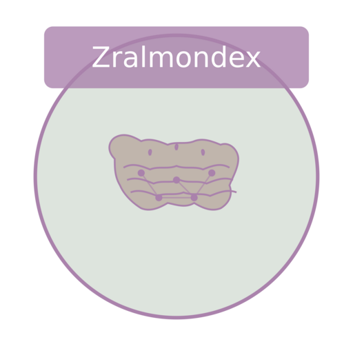 Zralmondex Logo